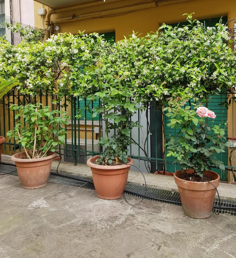 Jubilee 3 Luxury Apartment In Rome Vatican Bagian luar foto
